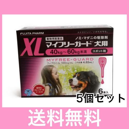 51【メール便・送料無料】犬用　マイフリーガード　XL（40〜60ｋｇ未満）　6本　[５個セット] | 