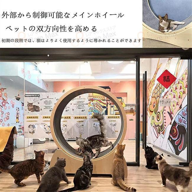 ウルトラ！ キャットホイール キャット 低騒音 ランニングホイール回し車 省スペース ダイエット 猫 運動不足解消 おもちゃ 肉球に優しい 完成品 組み立て不要 【WS1236340641】(43675円)