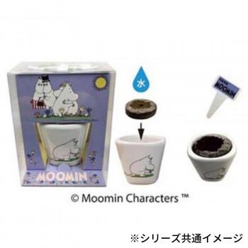 激安格安割引情報満載 Moomin ムーミン ハーブ栽培セット ルッコラ Kc 5141