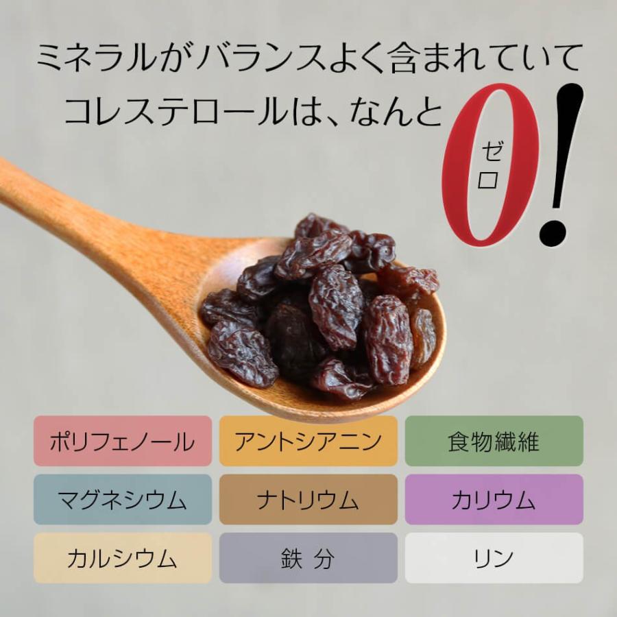 『1000円ぽっきり送料無料』トルコ産レーズン 無添加 300g ドライフルーツ 砂糖不使用 無添加 健康おやつ カリウム 鉄分 ナッツ専門店 ハッピーナッツカンパニー｜happynutscompany｜08