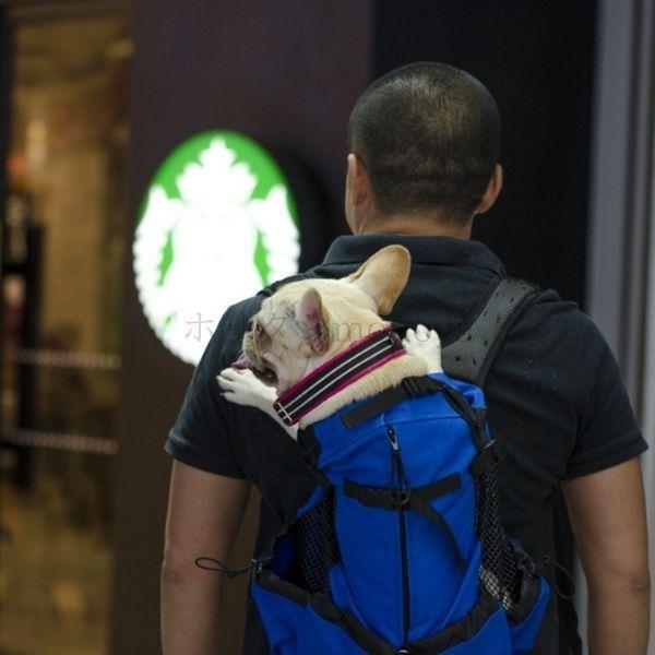 Sale 65 Off キャリーバッグ バッグ 大型犬 小型犬通気性 猫 ペット用 リュック 犬 スリング 旅行用 調節可能 中型犬 キャリーバッグ スリング