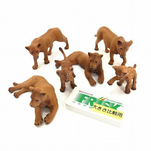 ミニチュア 動物 ライオン 群れ 家族 6匹セット オスなし Ao 011 置物 宅配便のみ Ao 011 バラエティ雑貨 ハッピーパッチ 通販 Yahoo ショッピング
