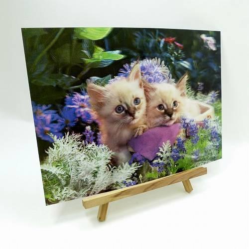 立体ピクチャー 猫2匹 ET-219 風景 3Dの絵 飛び出す 浮き出る