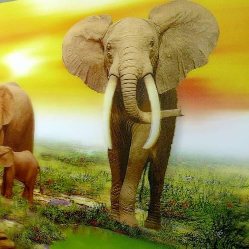 絵画　象の沐浴 オイルペイント ハンドペイント 63×63cm アート 象 モダンアート