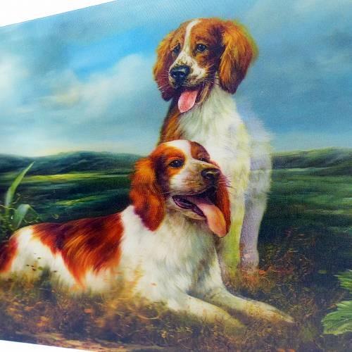 立体ピクチャー 犬2匹 ET-234 風景 3Dの絵 飛び出す 浮き出る