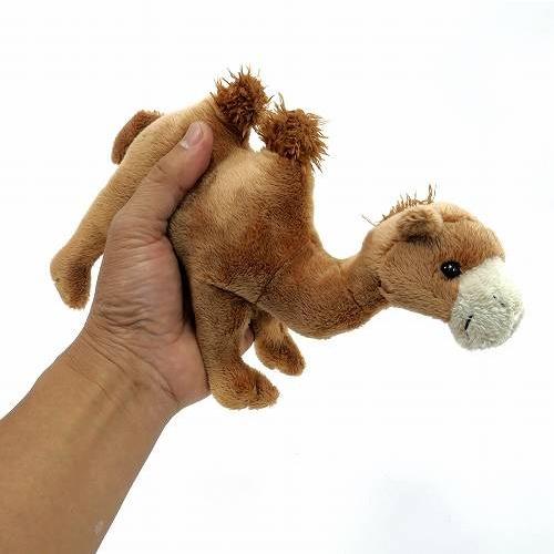 ぬいぐるみ 動物 マスコット ラクダ Kz 175 やわらかい 動物 アニマル かわいい 宅配便のみ Kz 175 バラエティ雑貨 ハッピーパッチ 通販 Yahoo ショッピング
