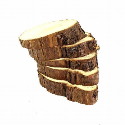 天然木の台座 ディスプレイスタンド 5個セット スギの木 切り株 変形