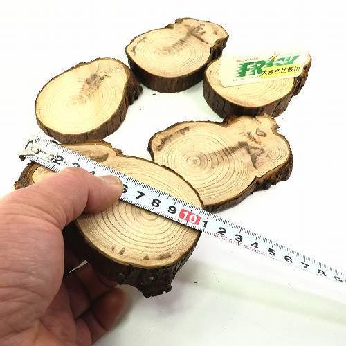 天然木の台座 ディスプレイスタンド 5個セット スギの木 切り株 変形