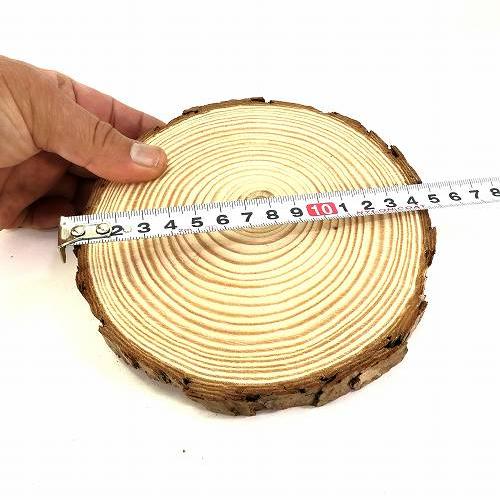 天然木の台座 ディスプレイスタンド スギの木 切り株 1個 14-16cm 大