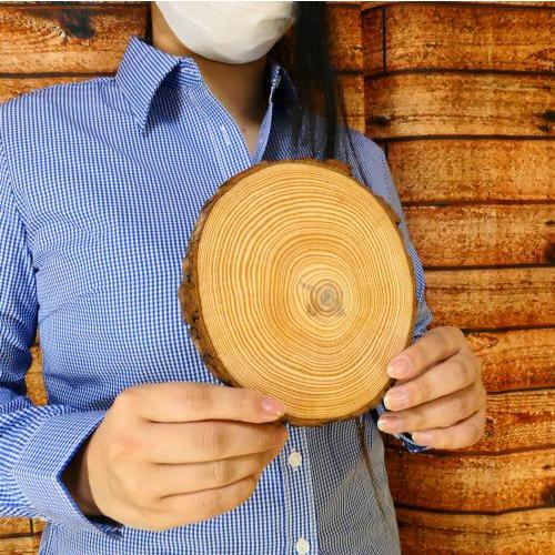 天然木の台座 ディスプレイスタンド スギの木 切り株 1個 14-16cm 大