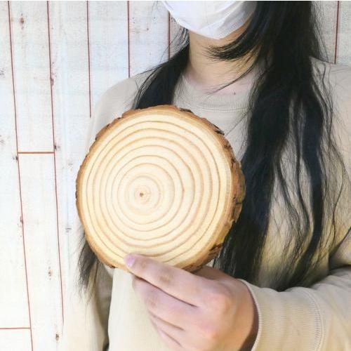 天然木の台座 ディスプレイスタンド スギの木 切り株 1個 14-16cm 厚み