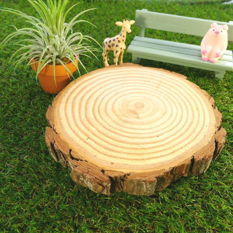 天然木の台座 ディスプレイスタンド スギの木 切り株 1個 14-16cm 厚み
