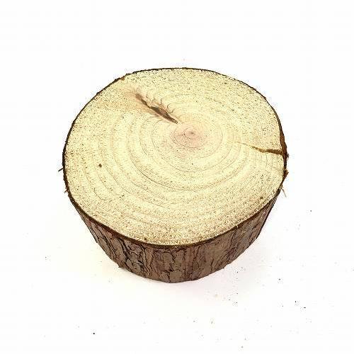 天然木の台座 ディスプレイスタンド スギの木 切り株 約9cm 厚め 木製