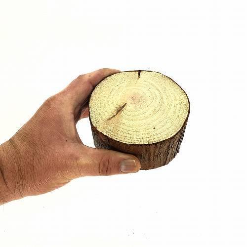 天然木の台座 ディスプレイスタンド スギの木 切り株 約9cm 厚め 木製