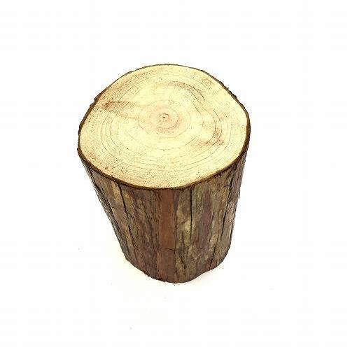 天然木の台座 ディスプレイスタンド スギの木 切り株 約7.5cm 超厚め