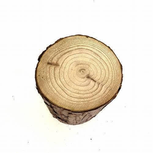 台座 木の切り株 天然木 【公式通販】