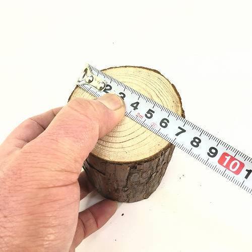 天然木の台座 ディスプレイスタンド スギの木 切り株 約7cm 超厚め