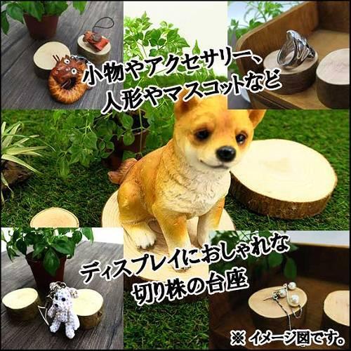 天然木の台座 ディスプレイスタンド スギの木 切り株 約7cm 超厚め