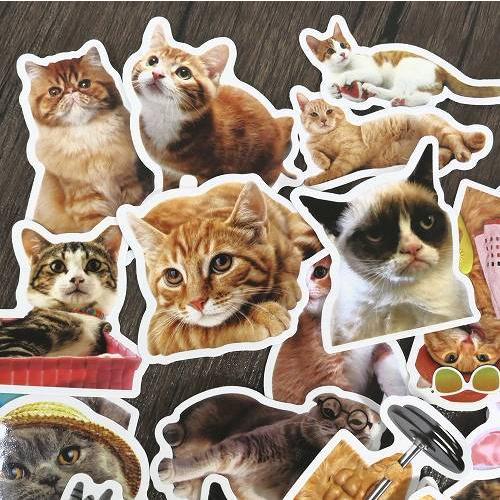 送料無料 フレークシール 猫 約200枚セット 福袋 てんこ盛り