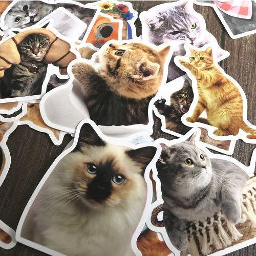 No.0390【ナンバーねこさん大量❤】フレークシール(114枚) 送料無料 フレークシール 猫 約200枚セット 福袋 てんこ盛り