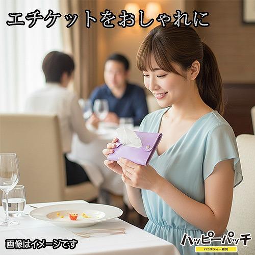 ポケットティッシュケース ラベンダー ネイビー 2個セット 携帯用