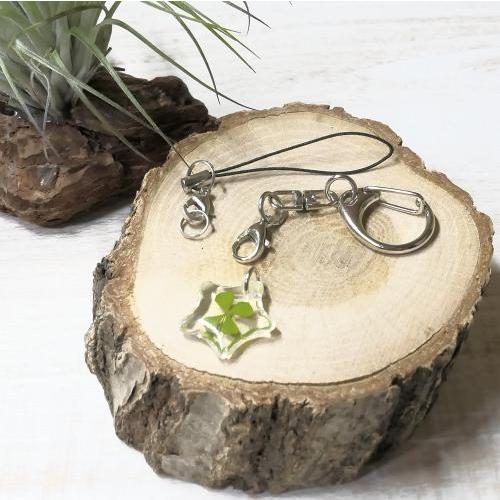 四葉 クローバー キーホルダー ストラップ セルフ クリア スター 本物