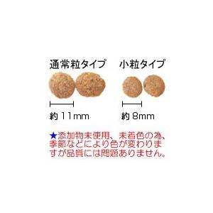 送料無料 AZ アゼット ドッグフード アダルト（成犬用）20kg+おやつ付