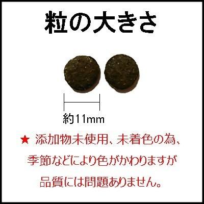 送料無料　AZ アゼット ドッグフード ラム＆ポテト 並粒 アレルギーケア 20kg +おやつ付_1