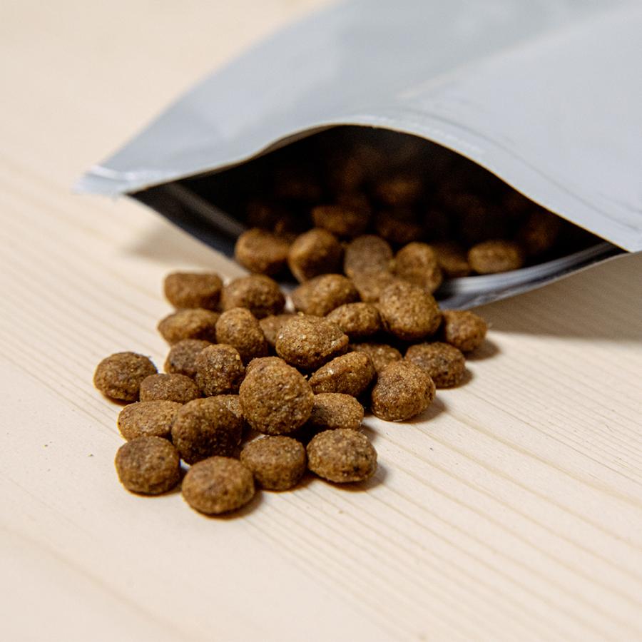 AZアゼットプロフェッショナル パピー子犬用10kg✖️2袋　20kg 送料無料 AZ アゼット ドッグフード パピー 20kg（10kg×2袋）+