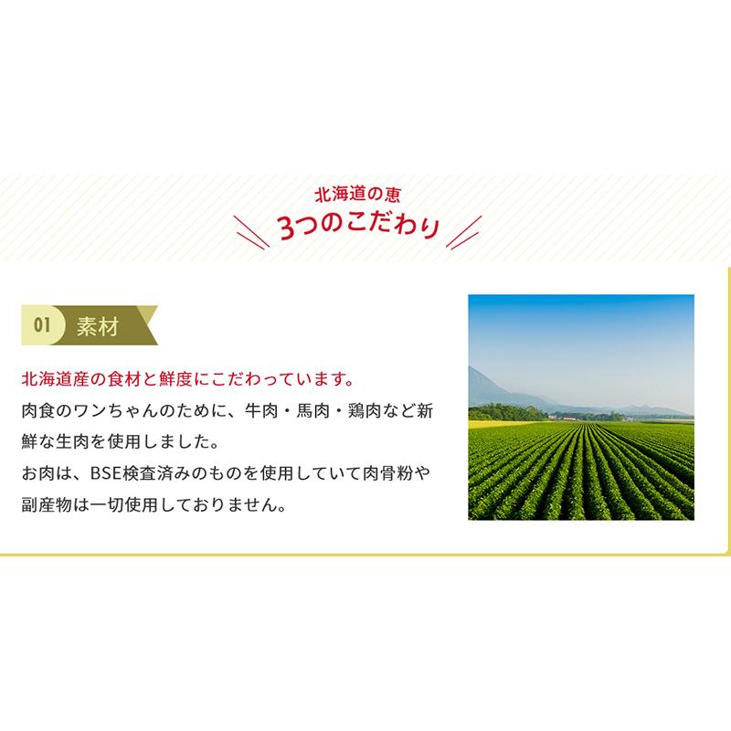 国産無添加ドッグフード 北海道の恵　初回お試しサンプル　メール便送料無料　代引不可　お1人様1回限り |  | 02