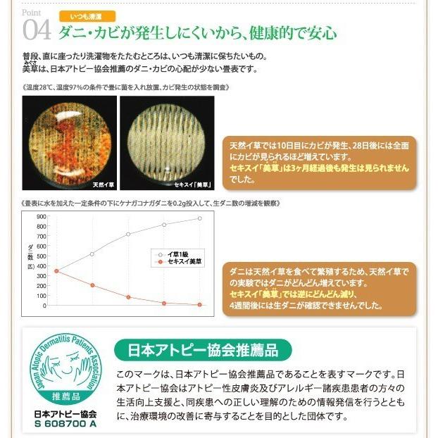 (タイムセール中) 美草・日本製 畳ベッド セミダブル 跳ね上げ式ベッド 大容量収納 ラージ_8