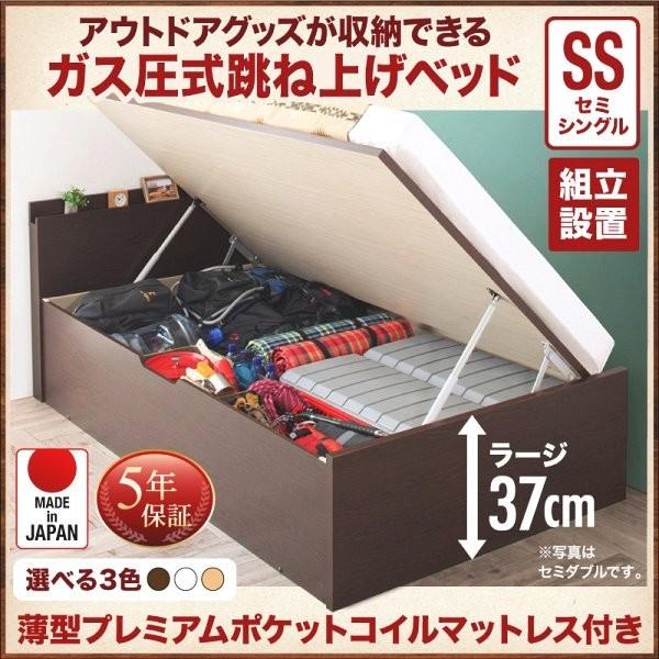 (タイムセール中) (組立設置付) アウトドア収納跳ね上げベッド セミシングル マットレス付き 薄型プレミアムポケットコイル 深さラージ