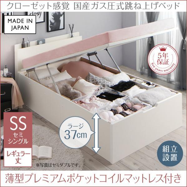 (タイムセール中) (組立設置付) 跳ね上げ式ベッド セミシングル マットレス付き 薄型プレミアムポケットコイル 縦開き・深さラージ・レギュラー丈