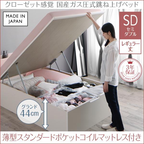 ドバイデザート ゴールデンサンド（細粒タイプ）インテリア・DIY