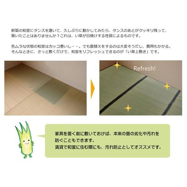 上敷き 夏用 い草ラグ 江戸間8畳 約352×352cm 抗菌 消臭 日本製_2