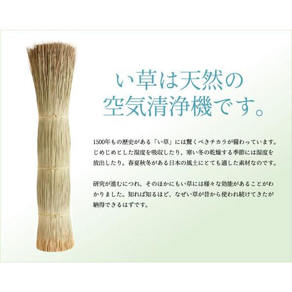 ラグマット 夏用 い草マット 本間3畳 191×286cm 花ござ 絵羽柄 日本製 抗菌 グリーン_11