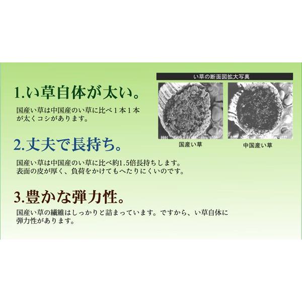 ラグマット 夏用 い草マット 本間3畳 191×286cm 花ござ 絵羽柄 日本製 抗菌 グリーン_4