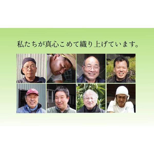 ラグマット 夏用 い草マット 本間3畳 191×286cm 花ござ 絵羽柄 日本製 抗菌 グリーン_5