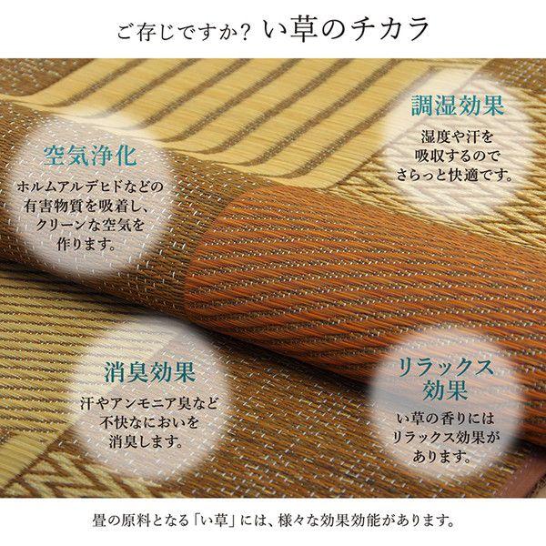 (タイムセール中) ラグマット 夏用 い草ラグ 本間8畳 約382×382cm 花ござ 日本製 抗菌 消臭