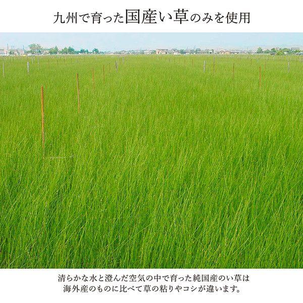 (タイムセール中) ラグマット 夏用 い草ラグ 本間8畳 約382×382cm 花ござ 日本製 抗菌 消臭