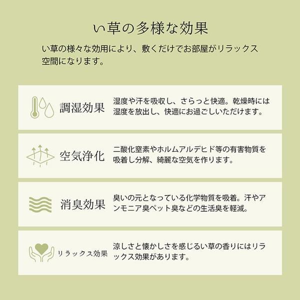 上敷き い草 江戸間6畳(約261×352cm) ゴザ カーペット 日本製 消臭 抗菌防臭