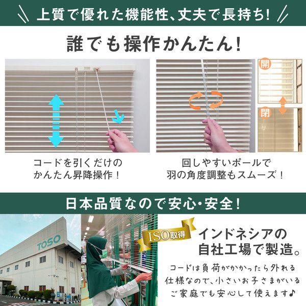 ブラインド カーテンレール対応 簡単取付 幅170×高さ138cm ワンタッチ アイボリー_5