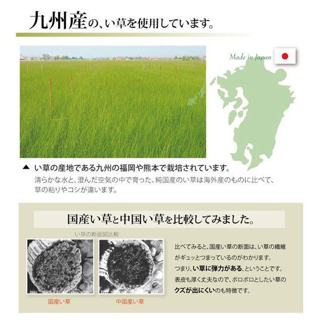 ラグマット 夏用 い草ラグ 本間6畳 約286×382cm 国産 抗菌 カーペット_5