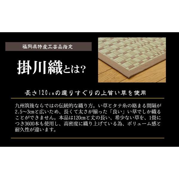 (タイムセール中) ラグマット 夏用 い草ラグ 江戸間4.5畳 約261×261cm 正方形 日本製 抗菌 消臭