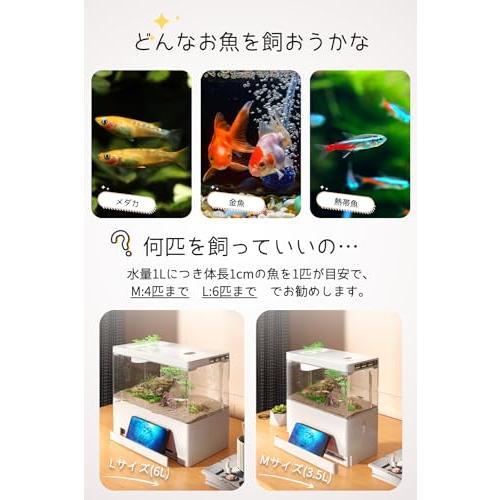 Yjhyuxi 水槽 セット 小型 アクアリウム インボイス制度登録店 Yjhyuxi 水槽 セット 小型 アクアリウム インボイス制度登録店