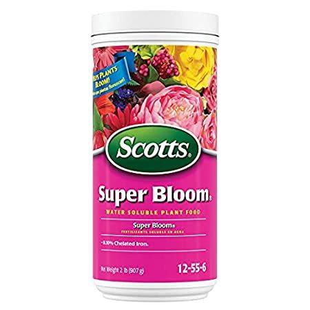 激安価格の lb 2 Food, Plant Soluble Water Bloom Super 【並行輸入品】Scotts - Fertilize - 12-55-6 NPK その他