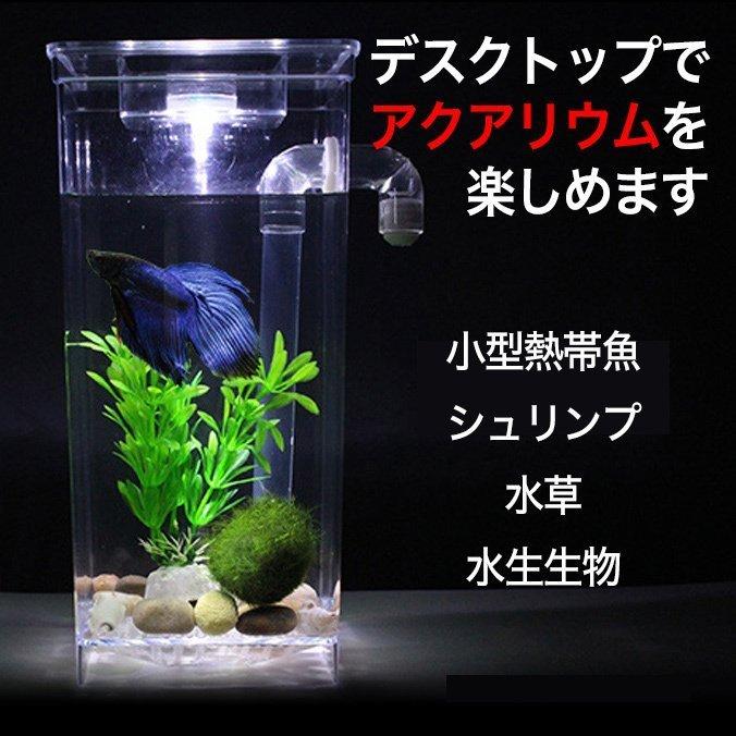 永遠の定番 ミニセルフクリーニング水槽 卓上水槽 アクアタンク 自動水換え エコ アクアリウム デスクトップ 小型魚 エビ 水草 ベタ Gibilogic Com