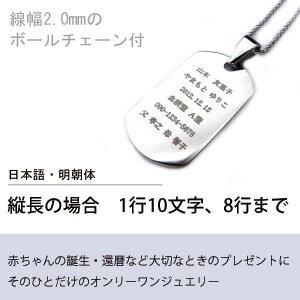 世界にひとつのオリジナル ステンレス製IDプレート/ドッグタグ