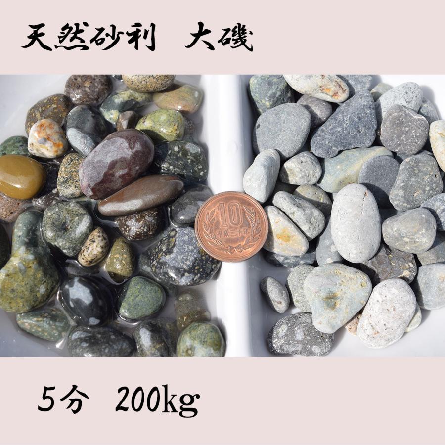 売れ筋 まとめ買いお得 大磯 化粧玉砂利 水槽用底砂利 5分 12mm mm 0kg kg 10 送料無料 離島別途 Kst5 0kg Happy Stone 通販 Yahoo ショッピング 流行に Pandas Com Br