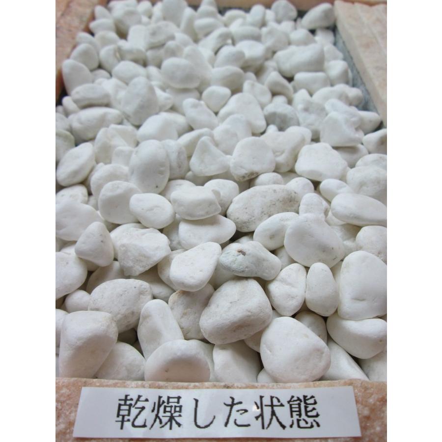 砂利 白 白玉砂利 玉砂利 2分 4-7mm 650g お洒落・庭 サンプル 少量 